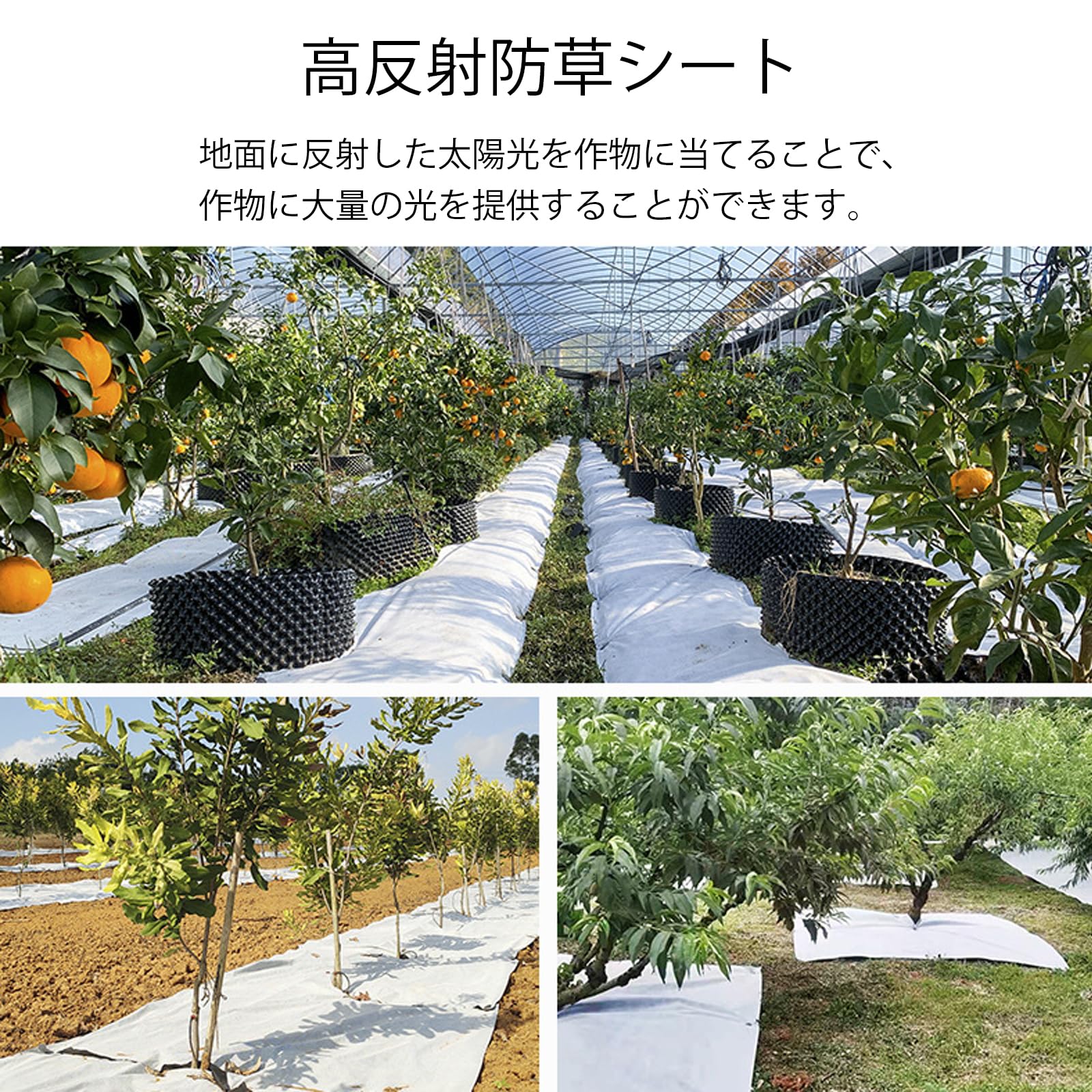 Amazon | 防草シート 1m×50m ホワイト 反射シート 100本固定ピン付き